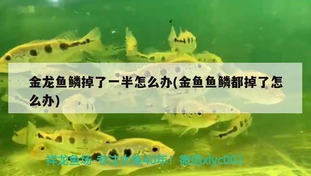 求懂風水的大師幫忙看一下魚缸放哪個位置好（來自貴陽花園小區(qū)），昆明搬家公司哪家靠譜