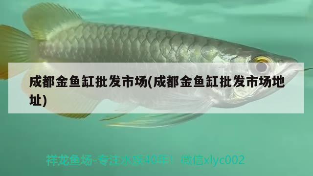 成都金魚缸批發(fā)市場(成都金魚缸批發(fā)市場地址)