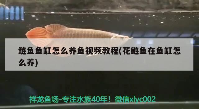 武侯區(qū)新水族玻璃制品經(jīng)營部（武侯區(qū)新水族玻璃制品經(jīng)營部地址） 全國水族館企業(yè)名錄 第2張