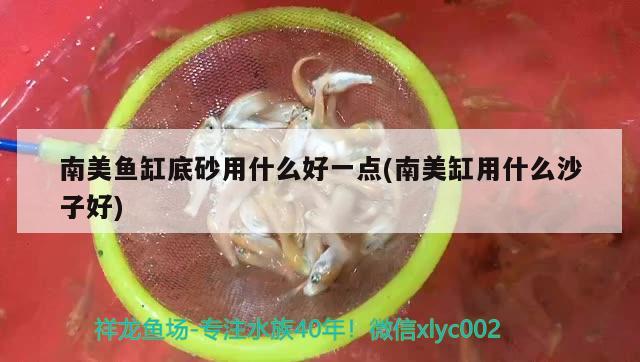 南美魚缸底砂用什么好一點(南美缸用什么沙子好)