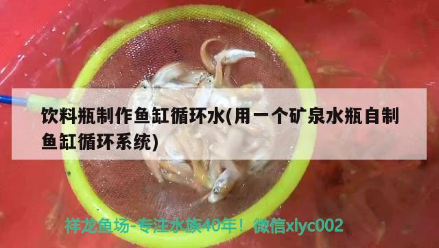 飲料瓶制作魚(yú)缸循環(huán)水(用一個(gè)礦泉水瓶自制魚(yú)缸循環(huán)系統(tǒng)) 肥料