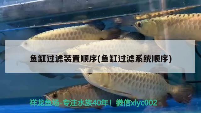 哈密水族批發(fā)市場(chǎng)在哪里有賣(mài)海鮮的 哈密水族批發(fā)市場(chǎng)在哪里有賣(mài)海鮮的地方