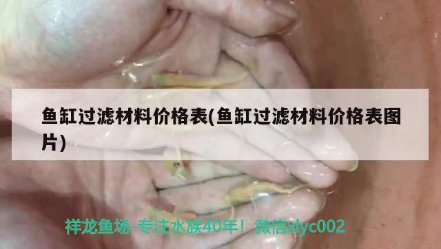 魚缸過濾材料價格表(魚缸過濾材料價格表圖片) 白化火箭