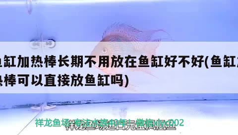 魚缸加熱棒長期不用放在魚缸好不好(魚缸加熱棒可以直接放魚缸嗎) 祥龍龍魚魚糧