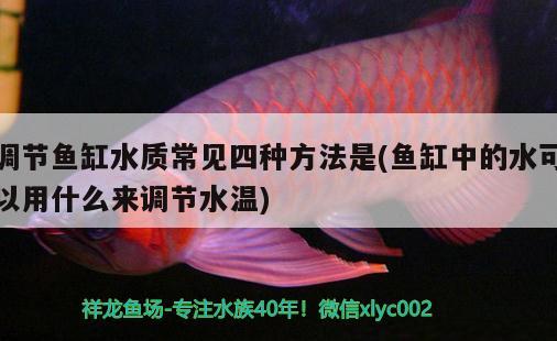 調(diào)節(jié)魚(yú)缸水質(zhì)常見(jiàn)四種方法是(魚(yú)缸中的水可以用什么來(lái)調(diào)節(jié)水溫) 巴卡雷龍魚(yú) 第3張