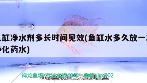 魚缸氧氣泵有噪音（魚缸氧氣泵噪音大怎么改靜音） 充氧泵 第3張