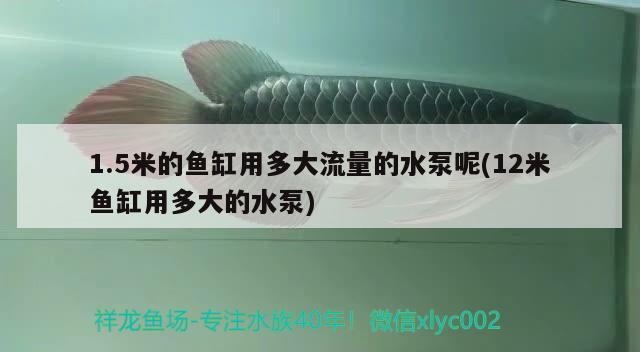 1.5米的魚(yú)缸用多大流量的水泵呢(12米魚(yú)缸用多大的水泵)