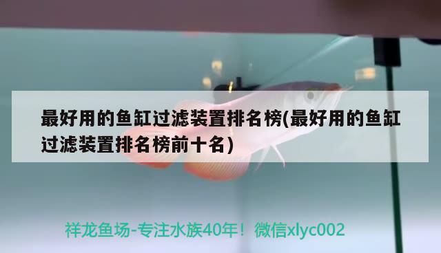 最好用的魚(yú)缸過(guò)濾裝置排名榜(最好用的魚(yú)缸過(guò)濾裝置排名榜前十名)