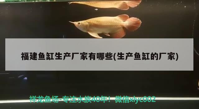 福建魚缸生產(chǎn)廠家有哪些(生產(chǎn)魚缸的廠家) 印尼紅龍魚