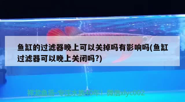 魚缸的過濾器晚上可以關掉嗎有影響嗎(魚缸過濾器可以晚上關閉嗎?)