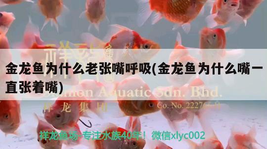 這個魚眼怎么處理