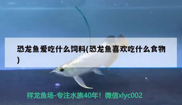 紅龍魚價格多少錢一只圖片，金色的金龍魚多少錢一條