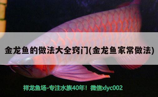 金龍魚的做法大全竅門(金龍魚家常做法)