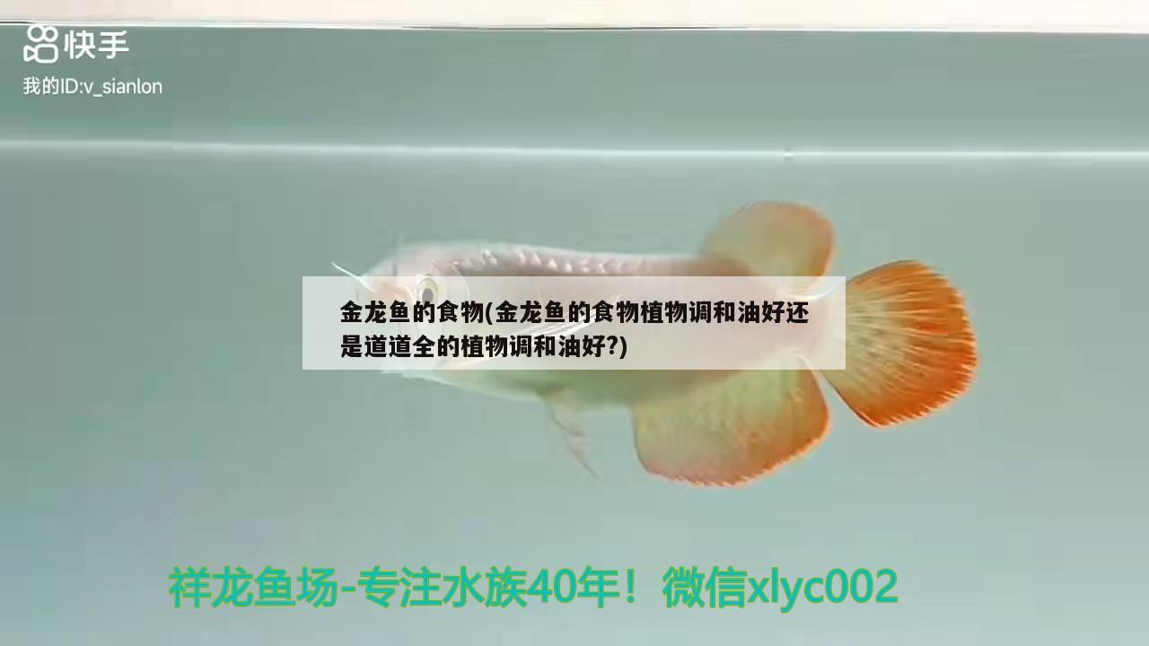 金龍魚的食物(金龍魚的食物植物調(diào)和油好還是道道全的植物調(diào)和油好?) 白子銀龍魚苗