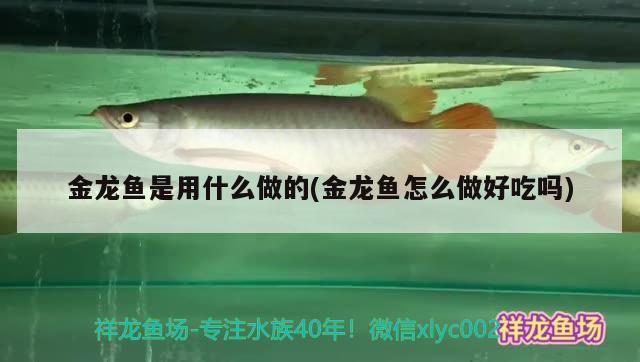 金龍魚是用什么做的(金龍魚怎么做好吃嗎) 魚缸風(fēng)水