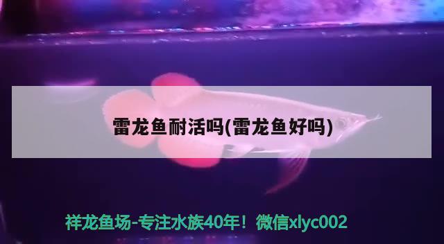 綿陽魚缸定做店電話號(hào)碼（綿陽市觀賞魚市場） 全國水族館企業(yè)名錄 第1張