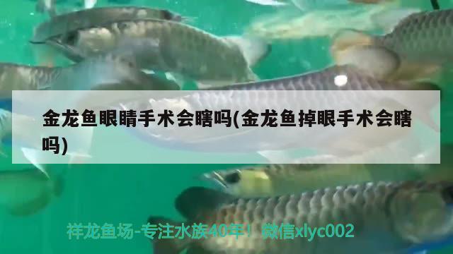 威海水族批發(fā)市場幾點開門營業(yè)的呢（威海水族批發(fā)市場在哪里）