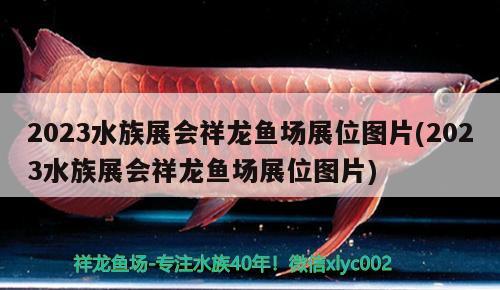 2023水族展會(huì)祥龍魚場(chǎng)展位圖片(2023水族展會(huì)祥龍魚場(chǎng)展位圖片)