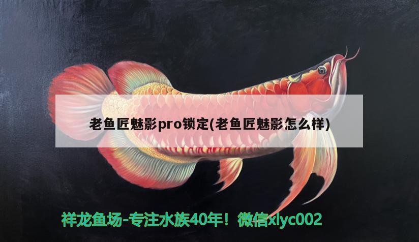 老魚匠魅影pro鎖定(老魚匠魅影怎么樣)