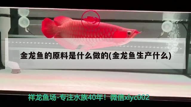 金龍魚的原料是什么做的(金龍魚生產(chǎn)什么) 黃金眼鏡蛇雷龍魚