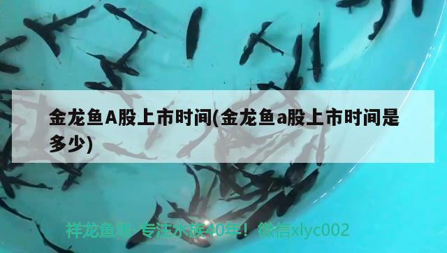 金龍魚A股上市時(shí)間(金龍魚a股上市時(shí)間是多少)