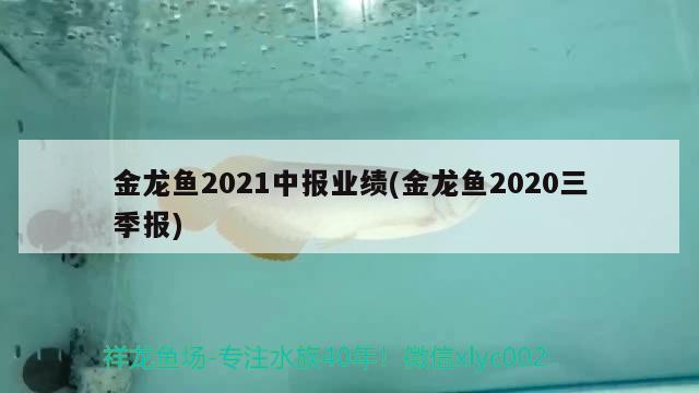 金龍魚2021中報業(yè)績(金龍魚2020三季報)