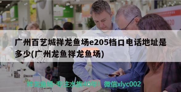 廣州百藝城祥龍魚場e205檔口電話地址是多少(廣州龍魚祥龍魚場) 祥龍魚場