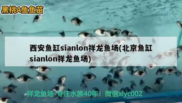 西安魚缸sianlon祥龍魚場(北京魚缸sianlon祥龍魚場) 祥龍魚場