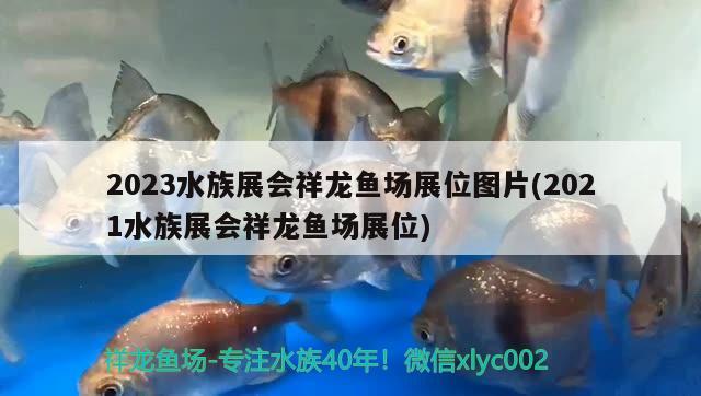 2023水族展會(huì)祥龍魚場(chǎng)展位圖片(2021水族展會(huì)祥龍魚場(chǎng)展位)