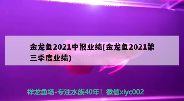 金龍魚2021中報業(yè)績(金龍魚2021第三季度業(yè)績)