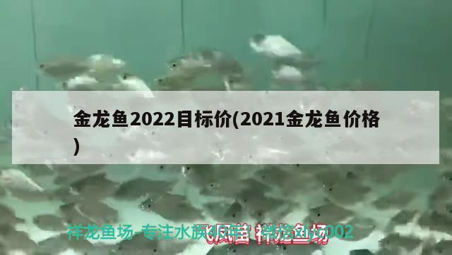 金龍魚2022目標價(2021金龍魚價格) 養(yǎng)魚的好處