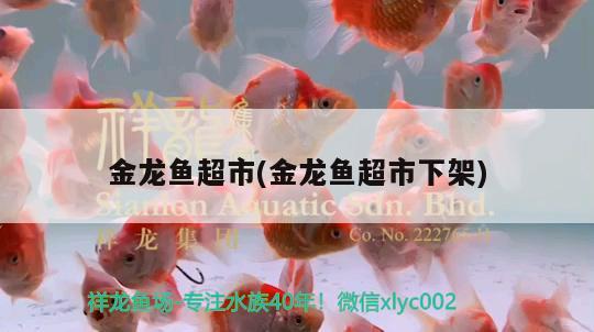 金龍魚超市(金龍魚超市下架) 帝王血鉆