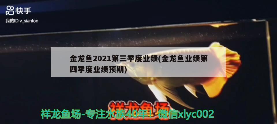 金龍魚2021第三季度業(yè)績(jī)(金龍魚業(yè)績(jī)第四季度業(yè)績(jī)預(yù)期)