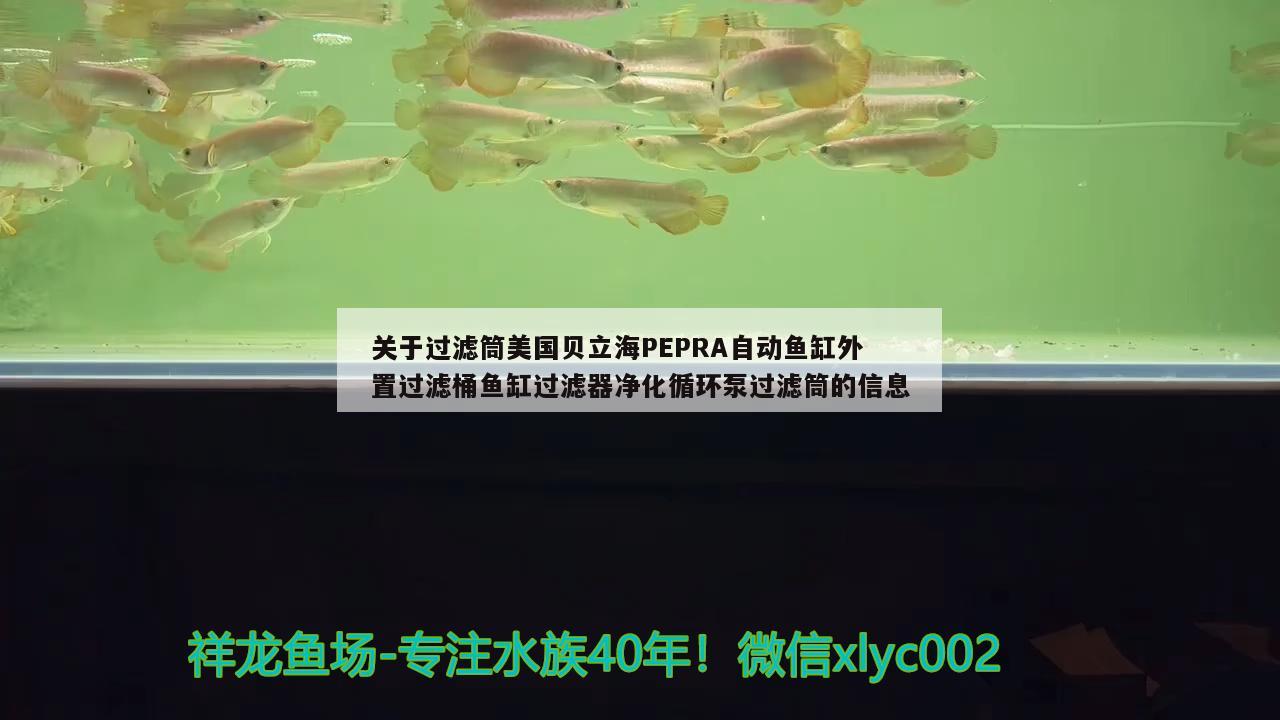 關(guān)于過濾筒美國貝立海PEPRA自動魚缸外置過濾桶魚缸過濾器凈化循環(huán)泵過濾筒的信息 垂釣樂園