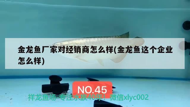 清洗魚缸消毒用什么好視頻清洗魚缸消毒用什么好，清洗魚缸消毒用什么好呢