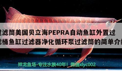 過濾筒美國貝立海PEPRA自動(dòng)魚缸外置過濾桶魚缸過濾器凈化循環(huán)泵過濾筒的簡單介紹