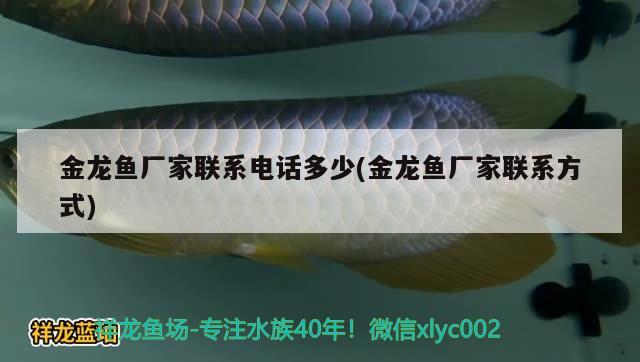 金龍魚廠家聯(lián)系電話多少(金龍魚廠家聯(lián)系方式)