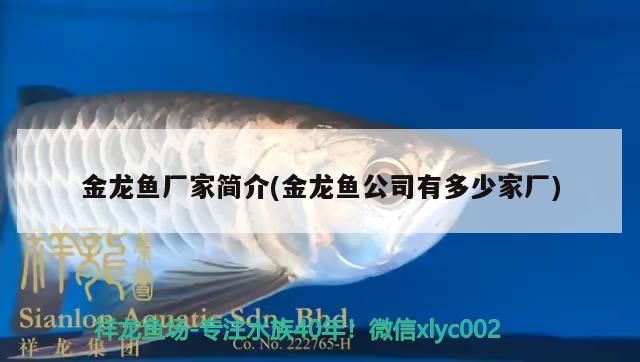 金龍魚廠家簡(jiǎn)介(金龍魚公司有多少家廠)