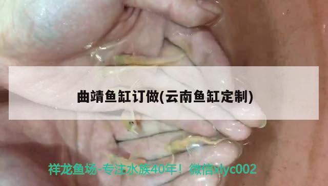 處理包蘇虎四紋包脖包肚 蘇虎 第3張