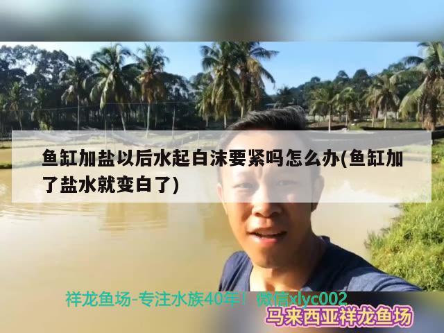 魚缸加鹽以后水起白沫要緊嗎怎么辦(魚缸加了鹽水就變白了)