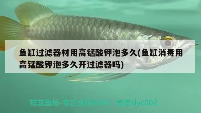 魚缸過濾器材用高錳酸鉀泡多久(魚缸消毒用高錳酸鉀泡多久開過濾器嗎) 粗線銀版魚