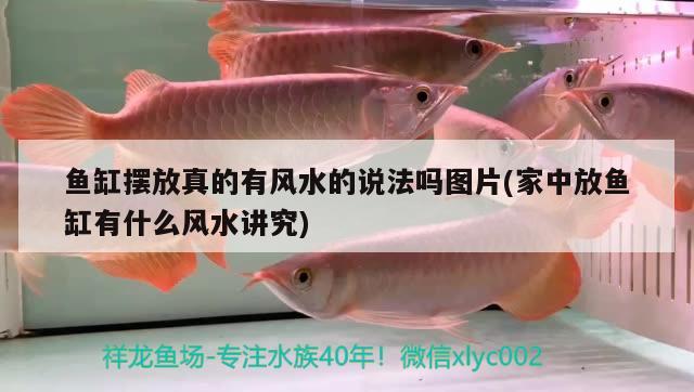 魚缸玻璃裁剪計(jì)算方法（魚缸玻璃裁剪計(jì)算方法圖解） 祥龍金禾金龍魚 第2張