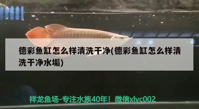 德彩魚缸怎么樣清洗干凈(德彩魚缸怎么樣清洗干凈水垢) 潛水泵