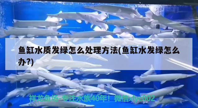 岳塘區(qū)水韻天宮水族館（岳塘區(qū)水韻天宮水族館地址） 全國水族館企業(yè)名錄 第1張