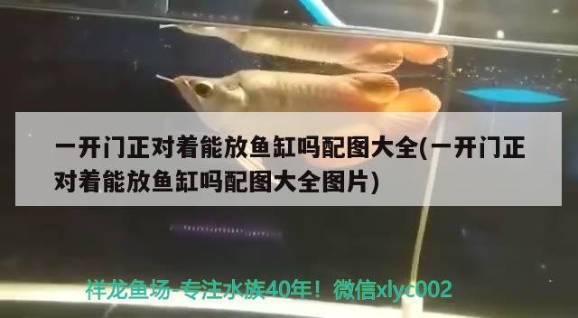 一開門正對著能放魚缸嗎配圖大全(一開門正對著能放魚缸嗎配圖大全圖片) 祥龍魚場