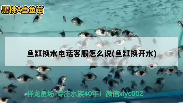 李滄區(qū)聚鑫然水族店，青島聚鑫美商貿(mào)有限公司怎么樣 全國(guó)水族館企業(yè)名錄 第1張