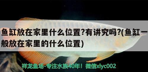 魚缸放在家里什么位置?有講究嗎?(魚缸一般放在家里的什么位置) 除藻劑