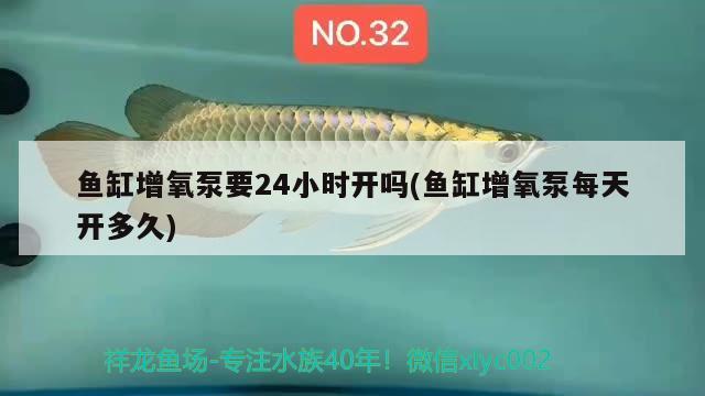 濟寧哪里有賣魚缸的？，兗州哪里有賣魚缸的