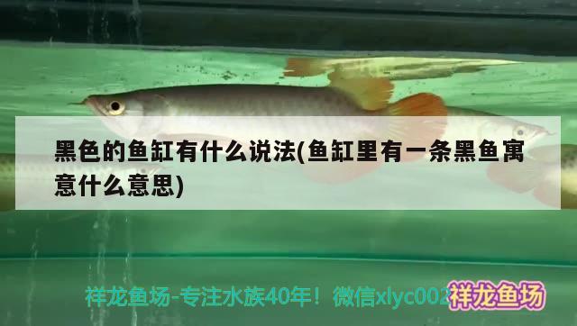 黑色的魚缸有什么說法(魚缸里有一條黑魚寓意什么意思) 祥龍魚場