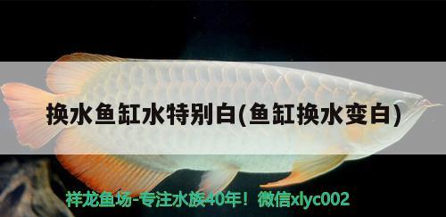 臨沂哪里有賣魚缸的實(shí)體店啊多少錢一斤（臨沂魚缸批發(fā)廠家直銷） 大白鯊魚苗 第3張